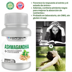 ZenVital™ — Mente en calma. Sueño profundo. Energía real.