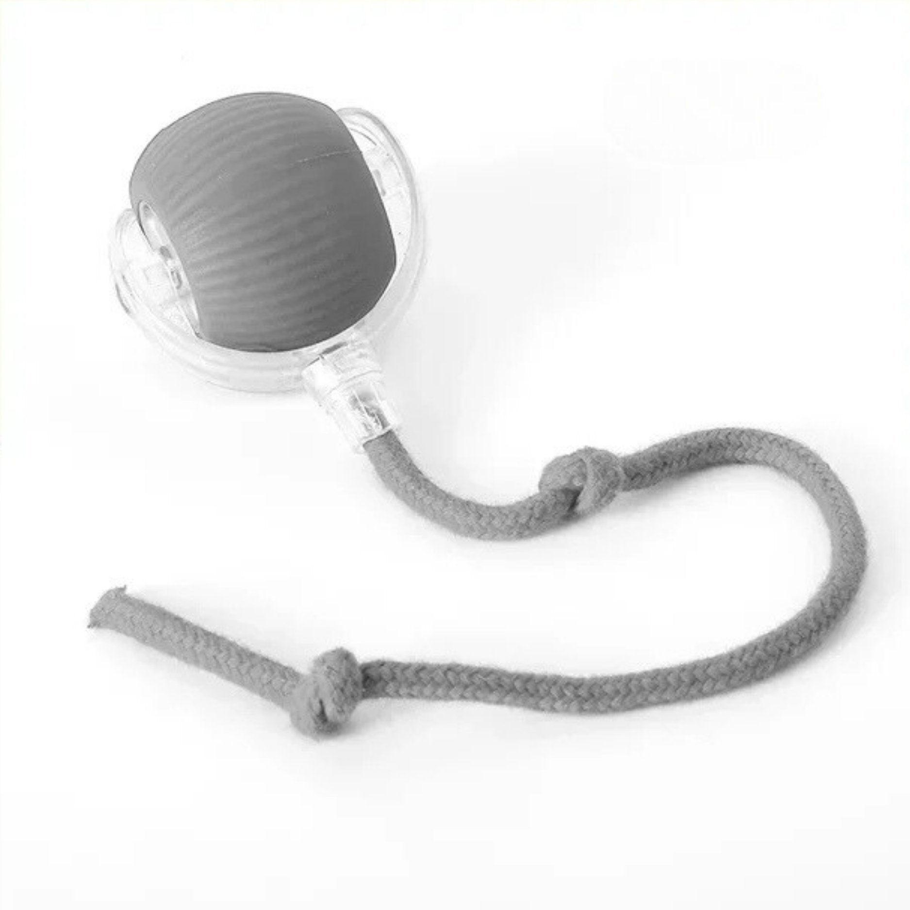 PELOTAVIVA™ - Pelota de aventura interactiva para tus perritos